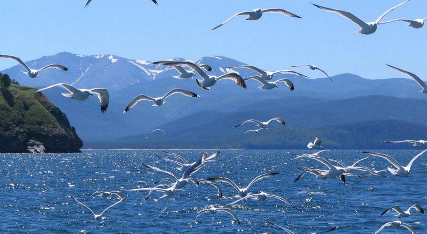 Гостиница Boyarskiy Dvor Andreevskiy Байкальск