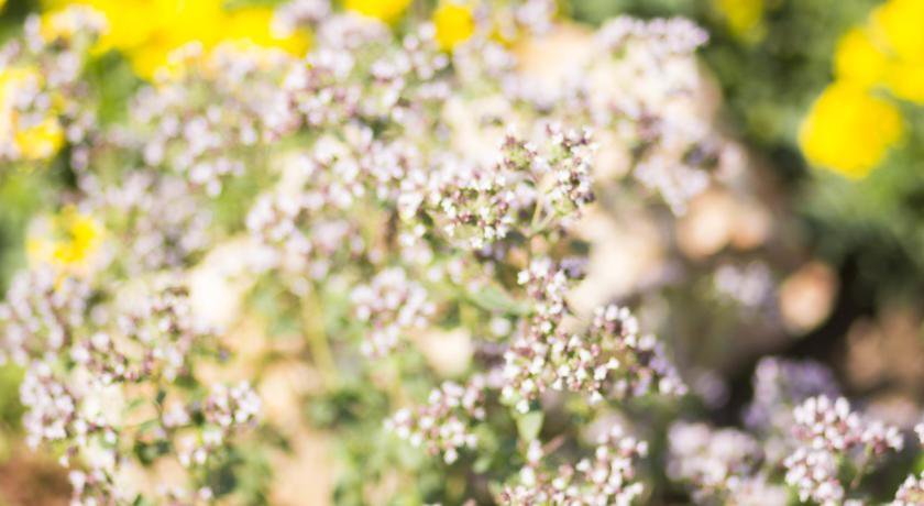 Гостиница Boyarskiy Dvor Andreevskiy Байкальск