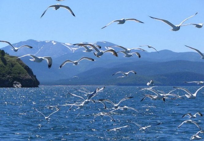 Гостиница Boyarskiy Dvor Andreevskiy Байкальск