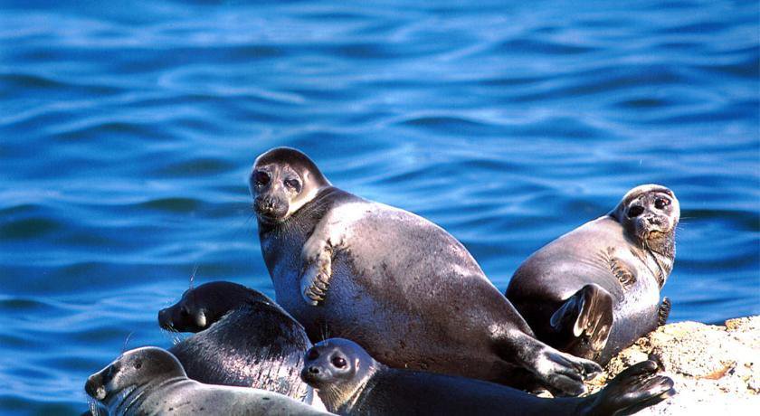 Гостиница Boyarskiy Dvor Andreevskiy Байкальск